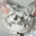 Clay Field in therapy with Helen McWilliam Brisbane